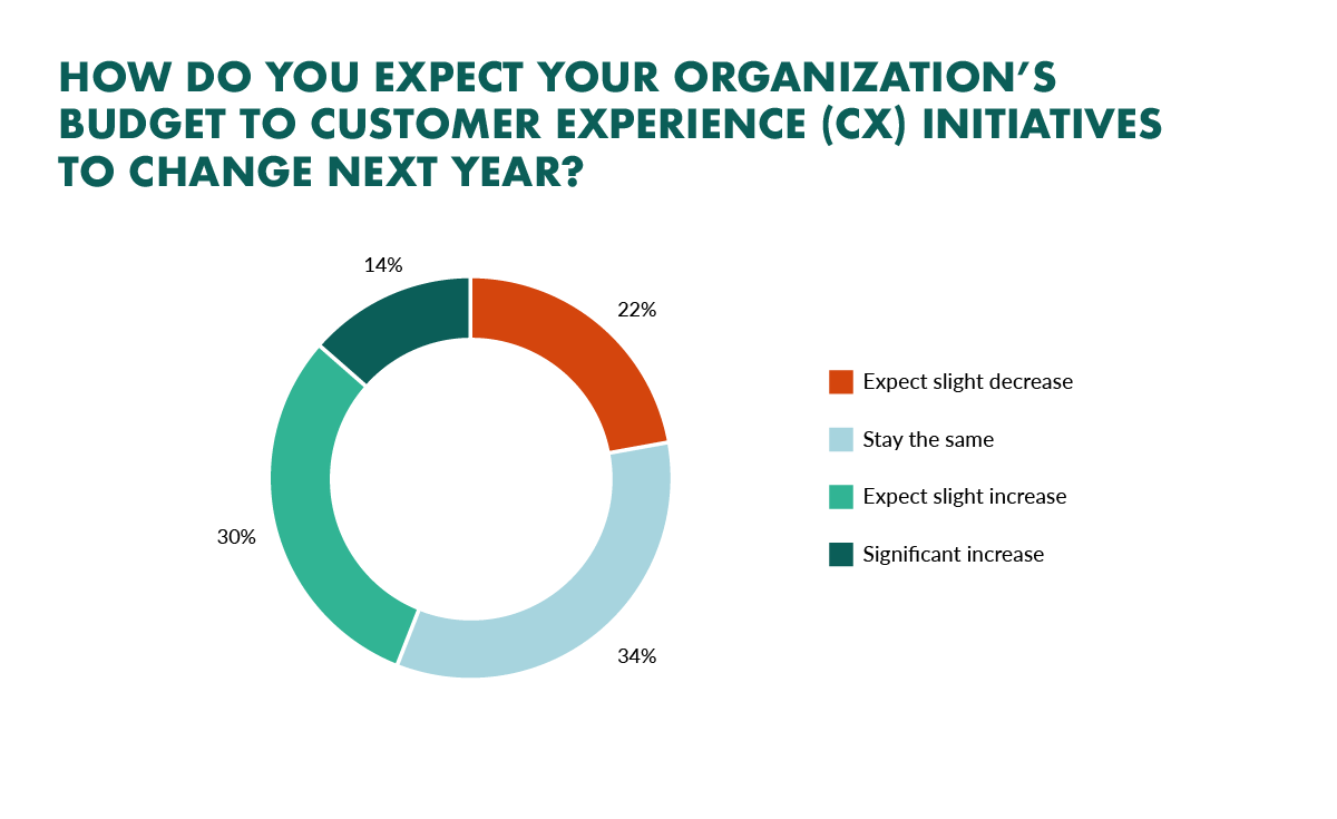 investment in customer experience initiatives